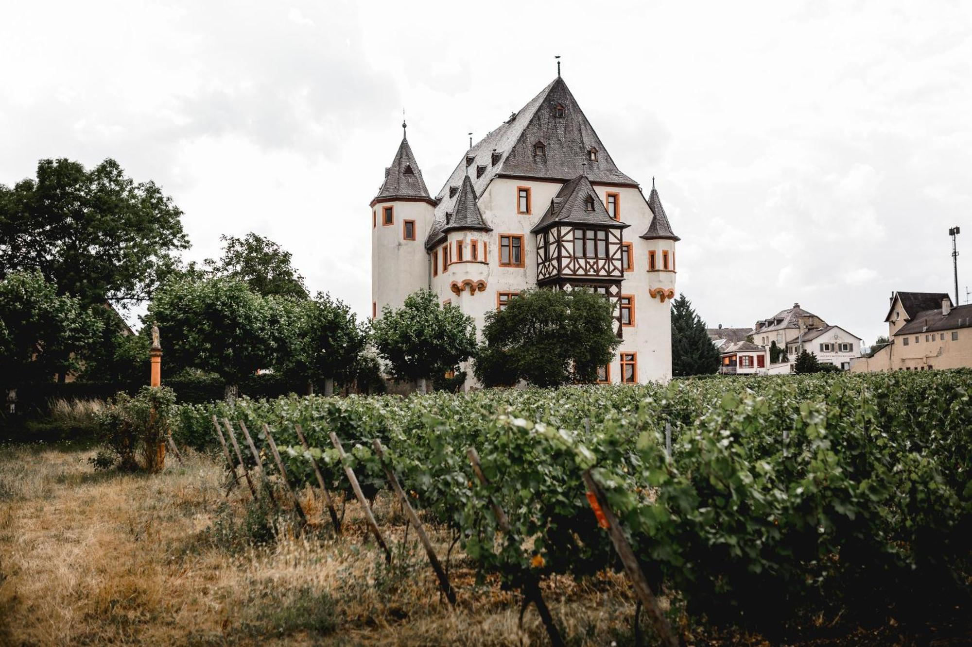 Schloss Schoenborn Geisenheim Extérieur photo