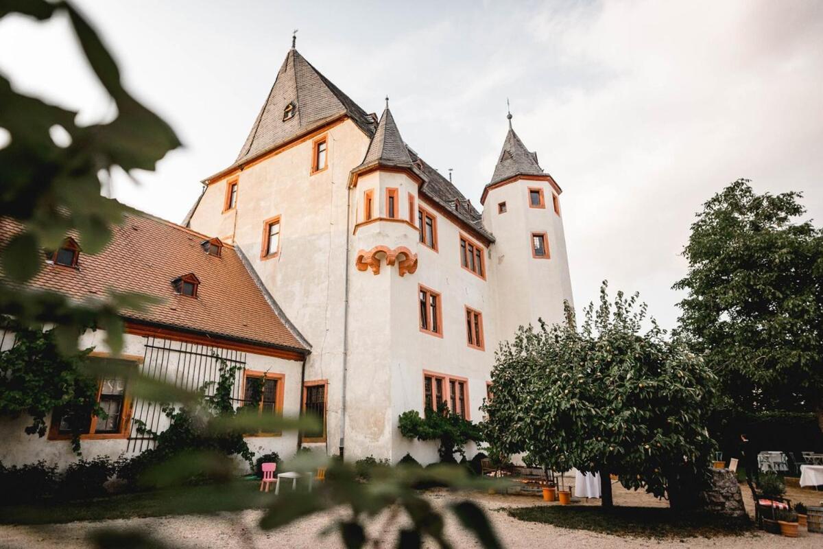 Schloss Schoenborn Geisenheim Extérieur photo