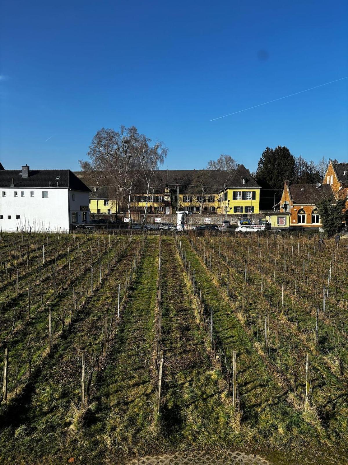 Schloss Schoenborn Geisenheim Extérieur photo